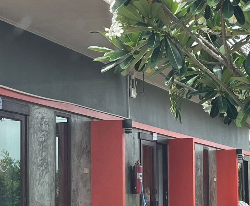 อาคารห้องพักผนังปูนเปลือยสลับเสาสีแดง มีต้นลีลาวดีดอกขาวอยู่ด้านบน
